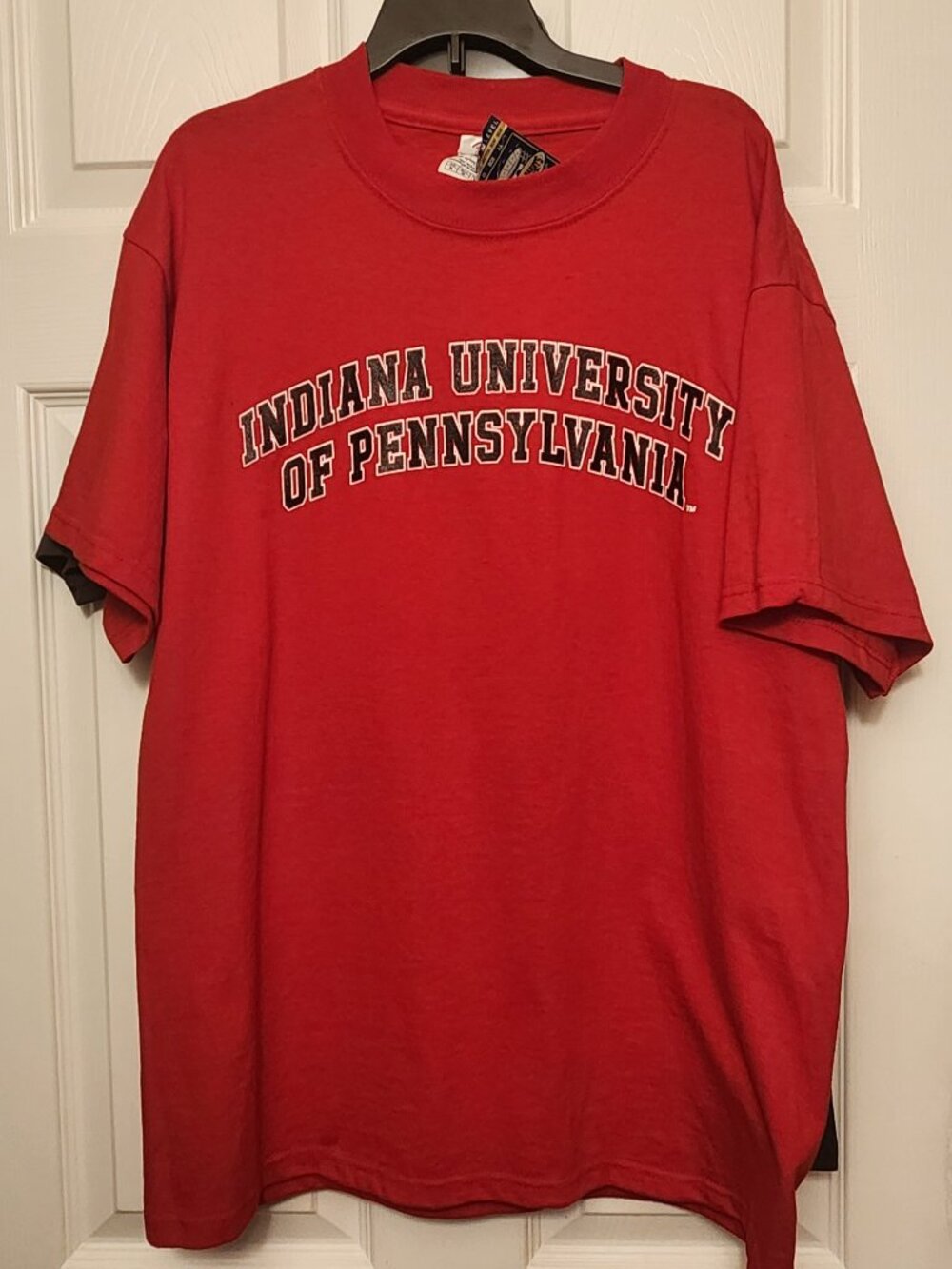 NWT Vintage Y2K Indiana University of Pennsylvania T-Shirt Size M Deadstock